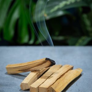 Stick de Palo Santo natural para rituales, ideal para sellar la energía tras limpiezas espirituales, equilibrar espacios y proteger altares